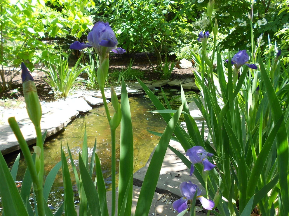 Land/arch Landscape Architecture - Photo 7