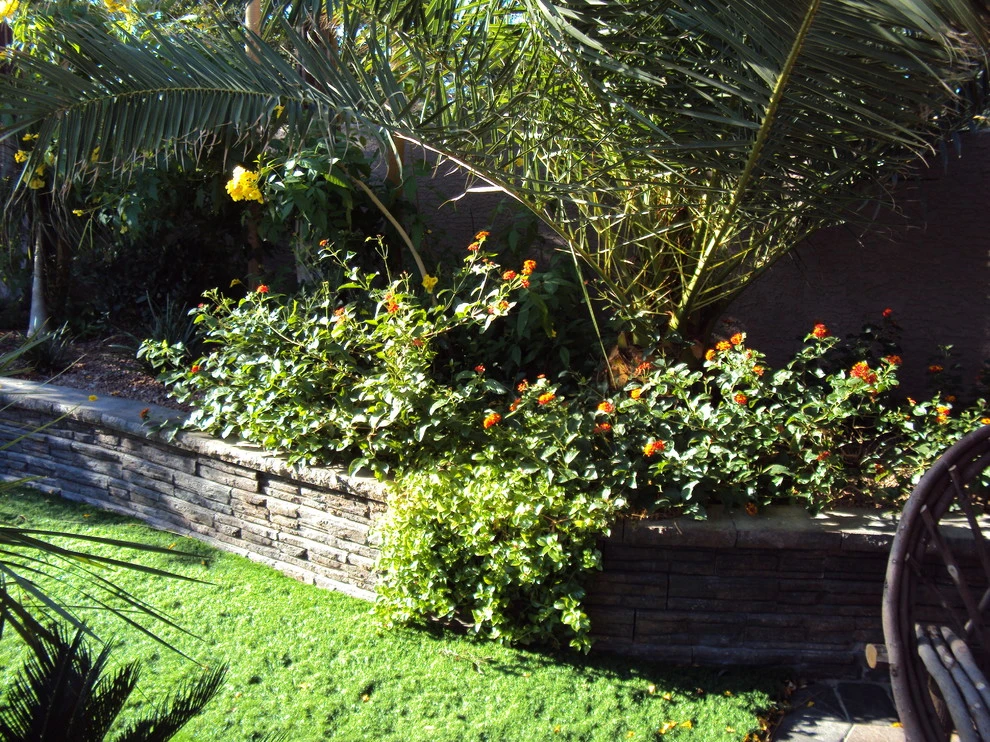 Land View Landscape - Photo 13