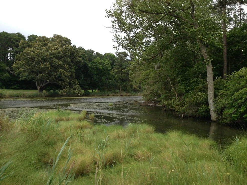 Potomac River waterfront by Landis Garden Design - Photo 3