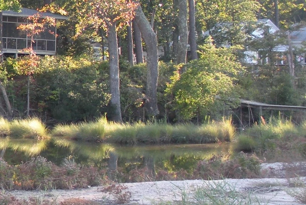Landis Garden Design - Photo 3
