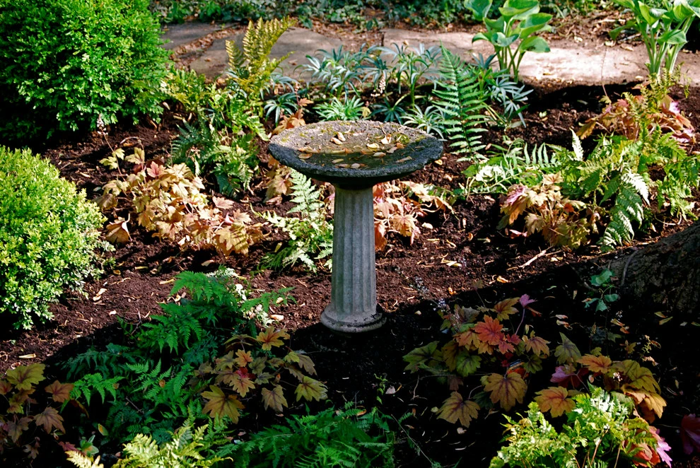 Landis Garden Design - Photo 8