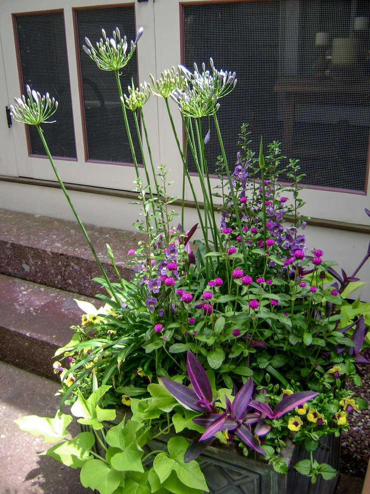 Containers - Summer by A Blade Of Grass - Photo 18