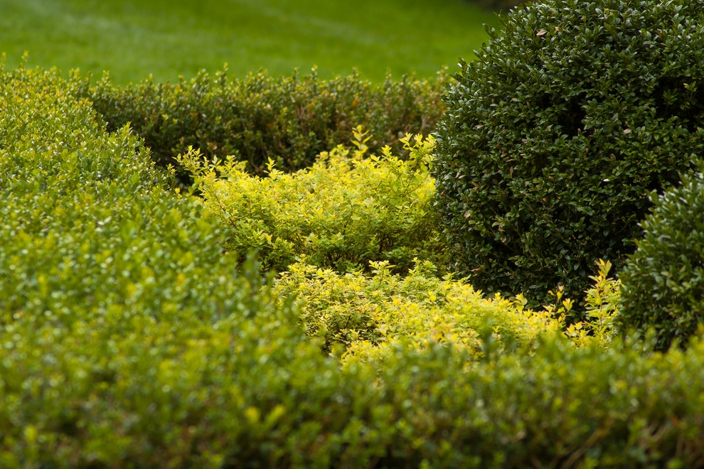 Contemporary Landscape by A Blade Of Grass - Photo 62