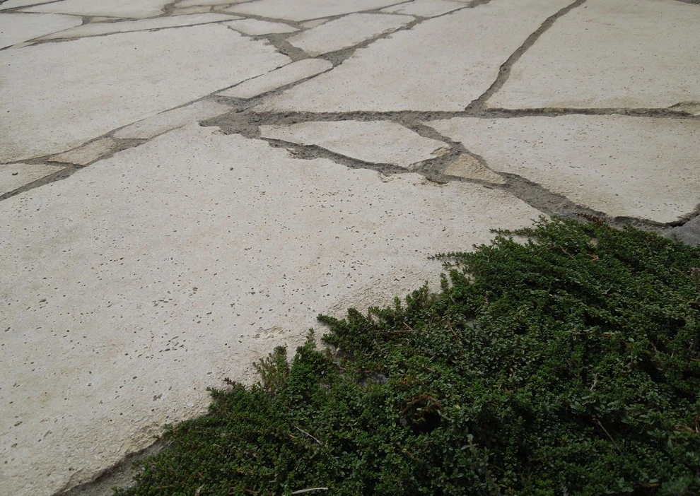 Pam Johnsen, Landscape Designer - Photo 9