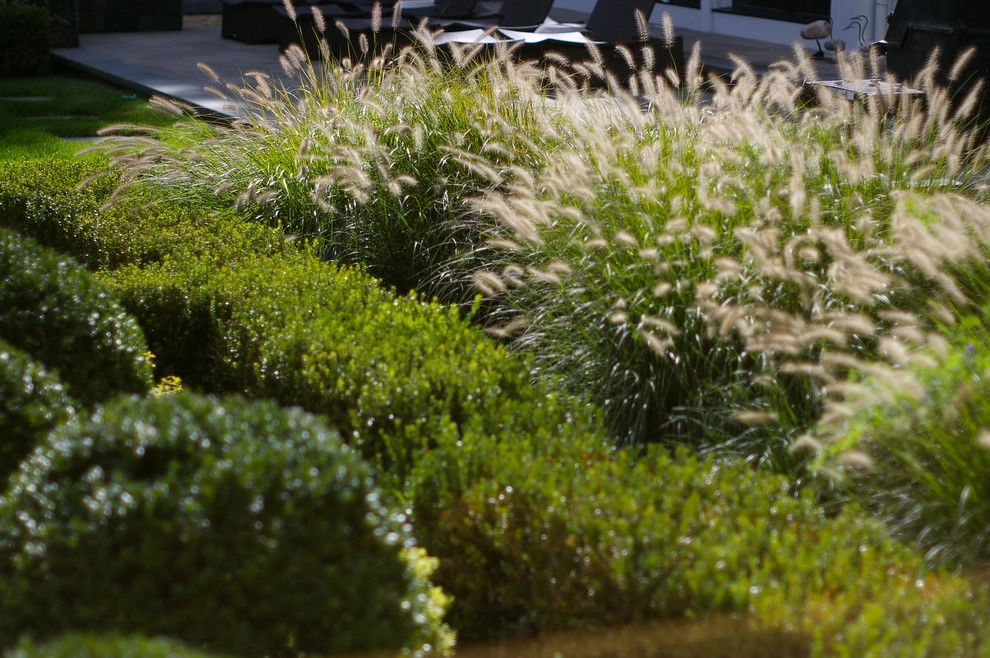 Contemporary Landscape by A Blade Of Grass - Photo 32