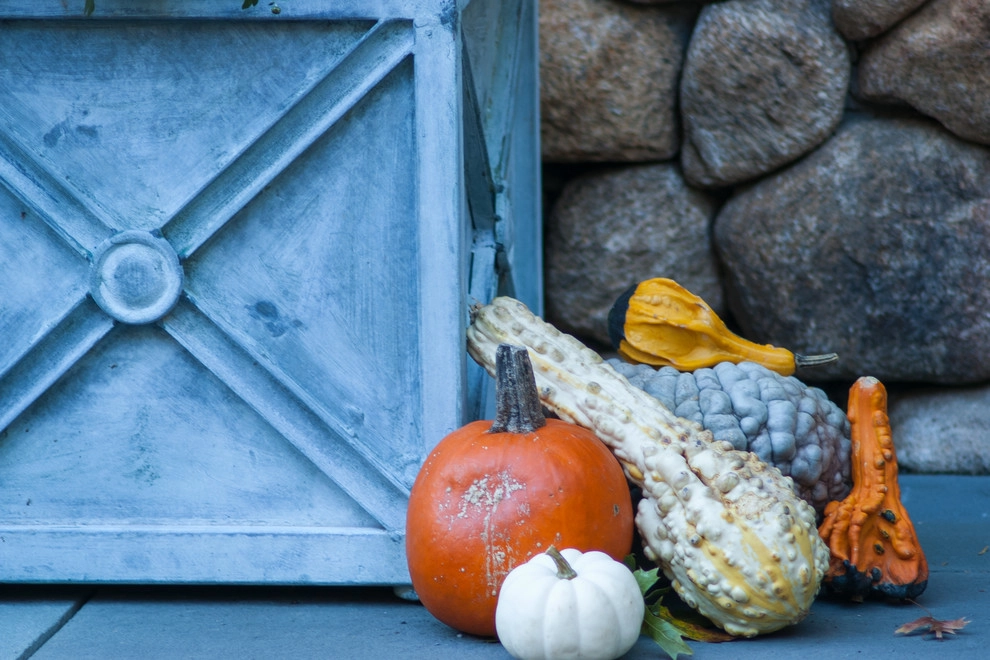 Backyard Carved From Stone by A Blade Of Grass - Photo 20