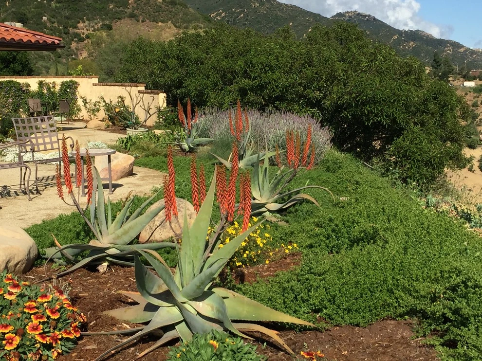 Spyglass ridge by Natural Concepts Landscaping Contractors - Photo 39