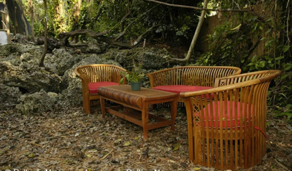 Pelton's Nurseries - Photo 2