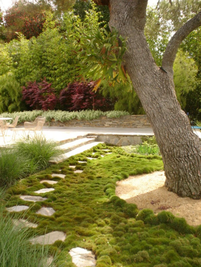 Perla Arquieta ASLA - Photo 12