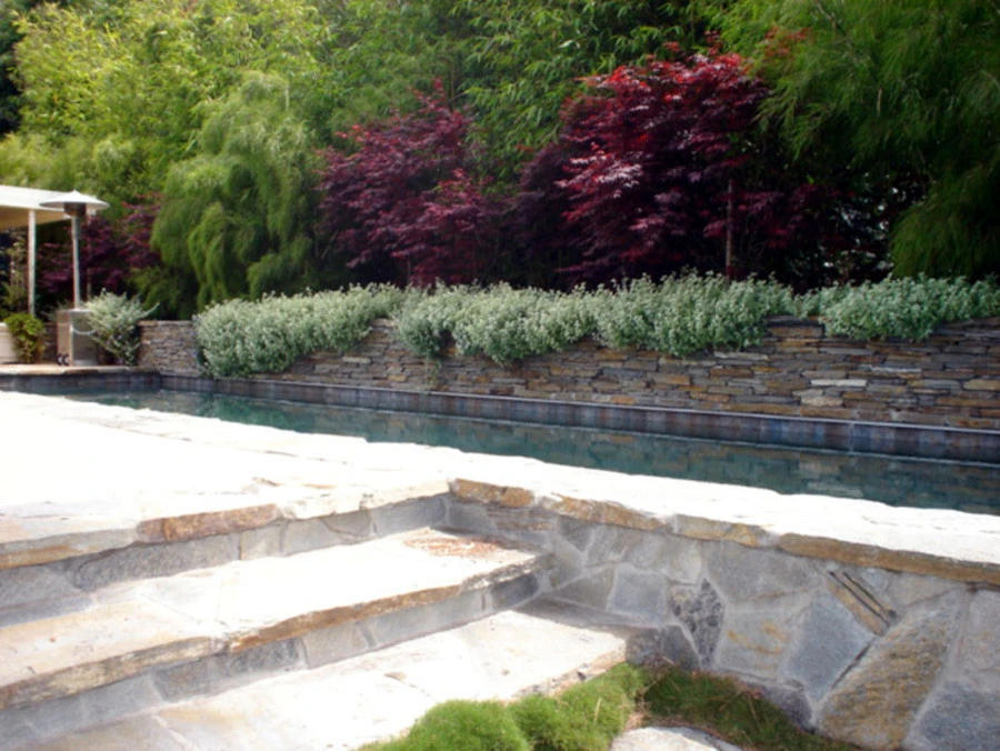 Brentwood Project by Perla Arquieta ASLA - Photo 5