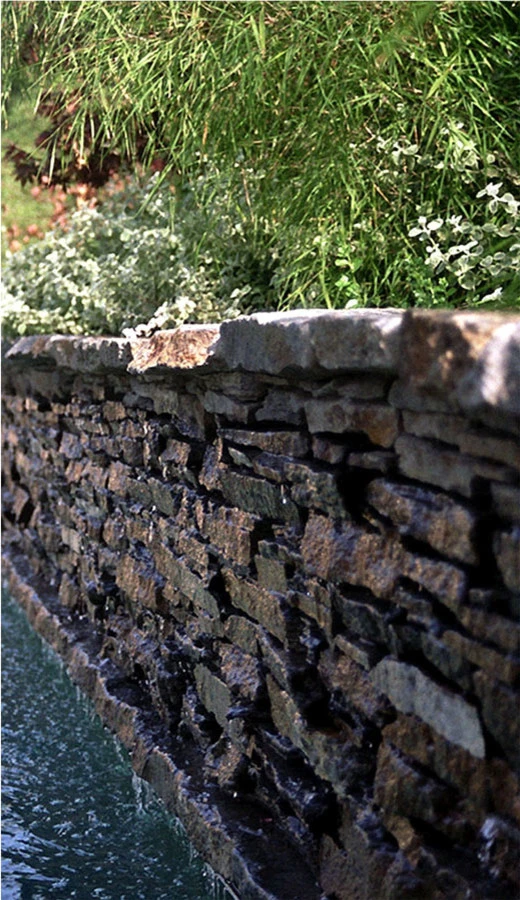 Brentwood Project by Perla Arquieta ASLA - Photo 12
