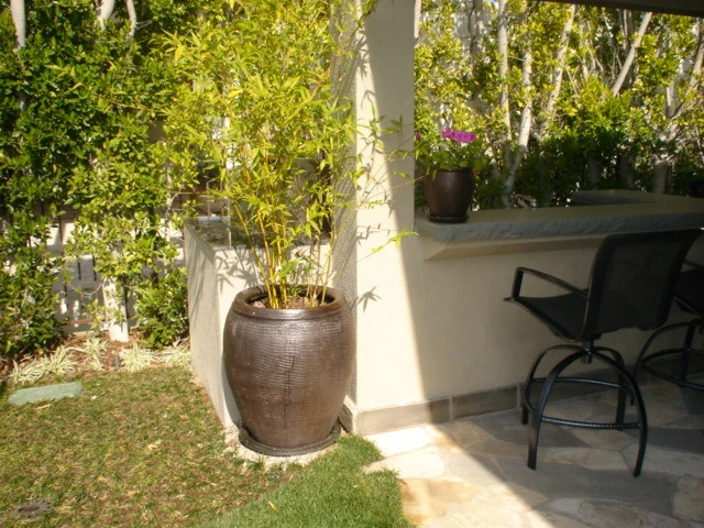 Encino Project by Perla Arquieta ASLA - Photo 8