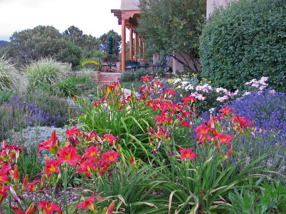 Santa Fe Permaculture by PermaDesign, Inc. - Photo 4