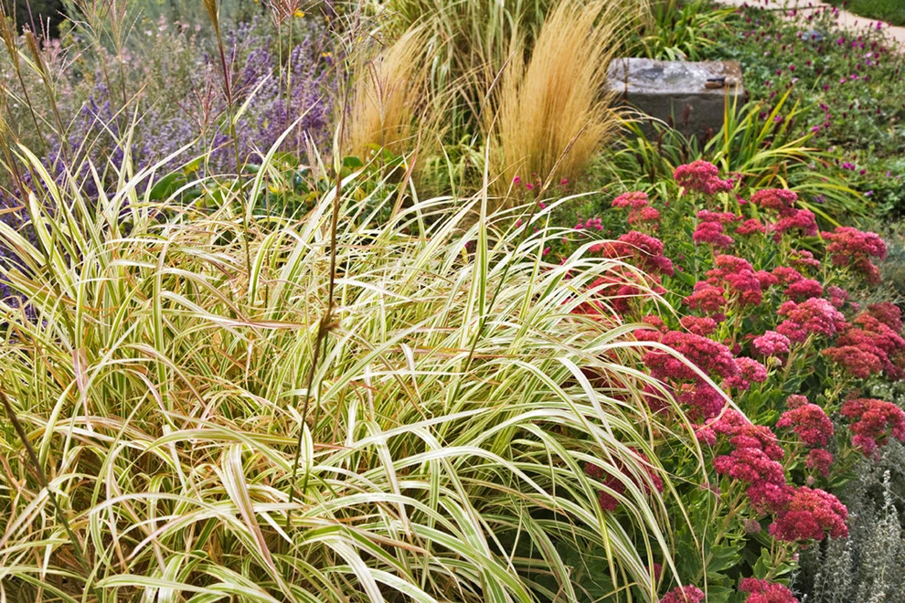 PermaDesign, Inc. - Photo 8