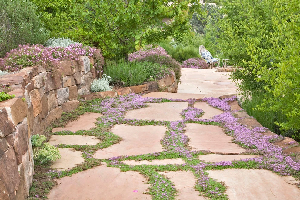 Sembrat Garden, Santa Fe, NM by PermaDesign, Inc. - Photo 2