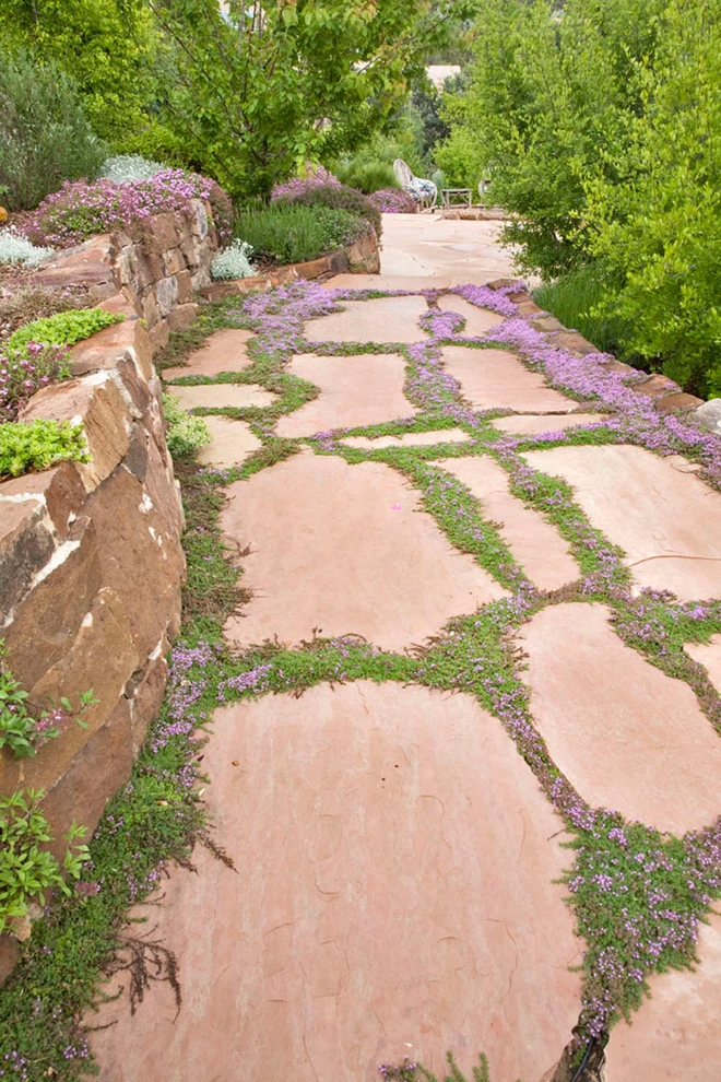 Sembrat Garden, Santa Fe, NM by PermaDesign, Inc. - Photo 7