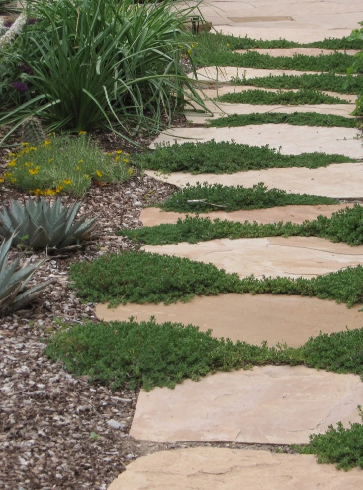 Santa Fe Permaculture/ Xeric Garden by PermaDesign, Inc. - Photo 4