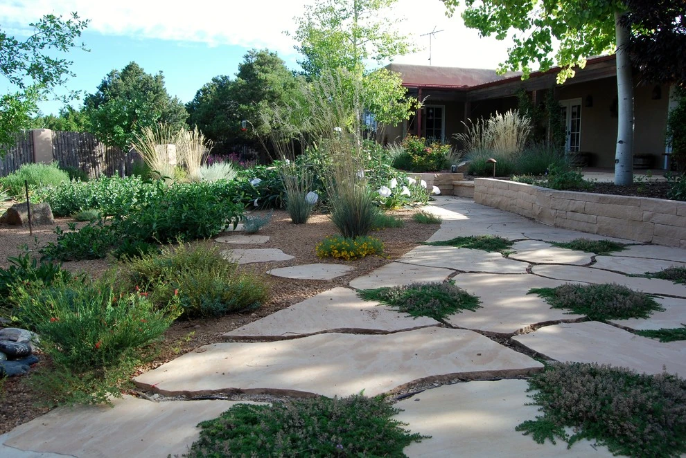 Santa Fe Permaculture/ Xeric Garden by PermaDesign, Inc. - Photo 2