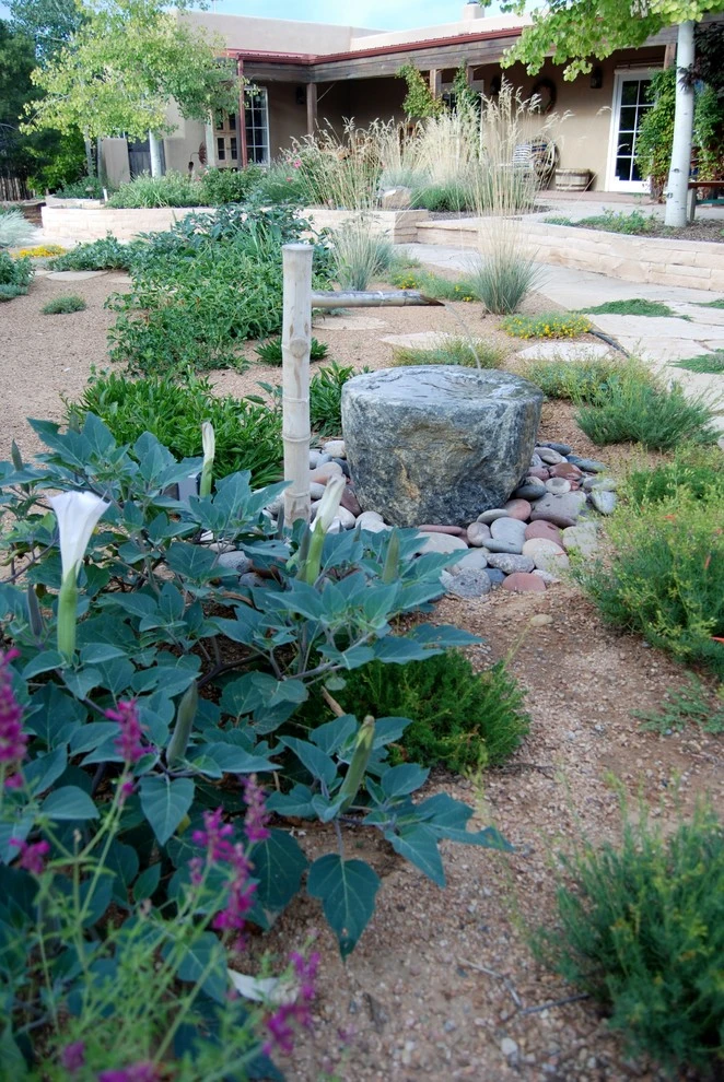Santa Fe Permaculture/ Xeric Garden by PermaDesign, Inc. - Photo 3