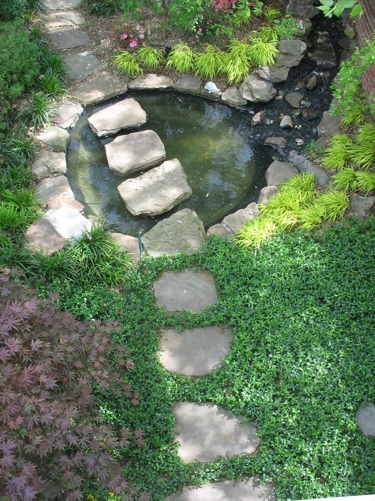 Peter Nohrden - Photo 11