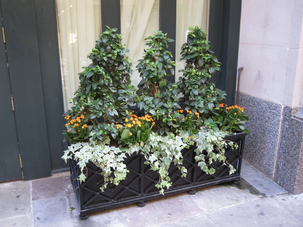 French Quarter Hotel by Peter Raarup Landscape Design - Photo 3