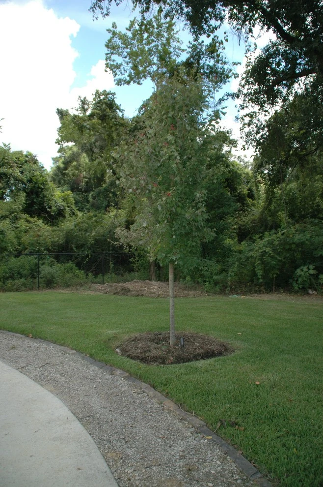 HIghland Road Master Plan by Philip Moser Associates Landscape Architects - Photo 26