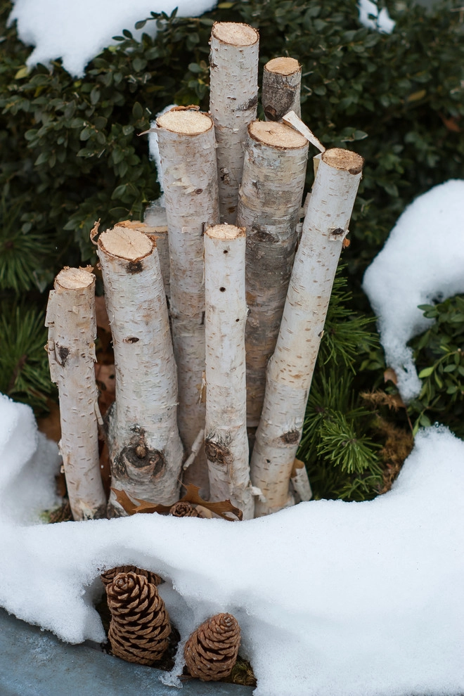 Winter decorations by A Blade Of Grass - Photo 26