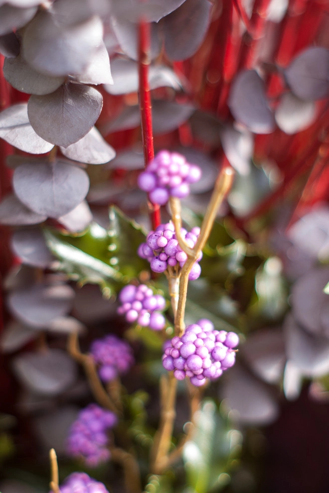 Winter decorations by A Blade Of Grass - Photo 40