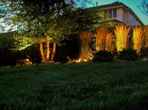 A few Ideas by Priority Turf & Irrigation - Photo 11