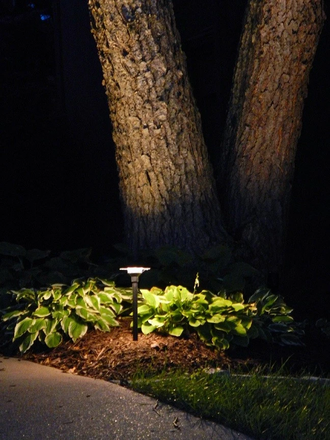Landscape Lighting by Priority Turf & Irrigation - Photo 8