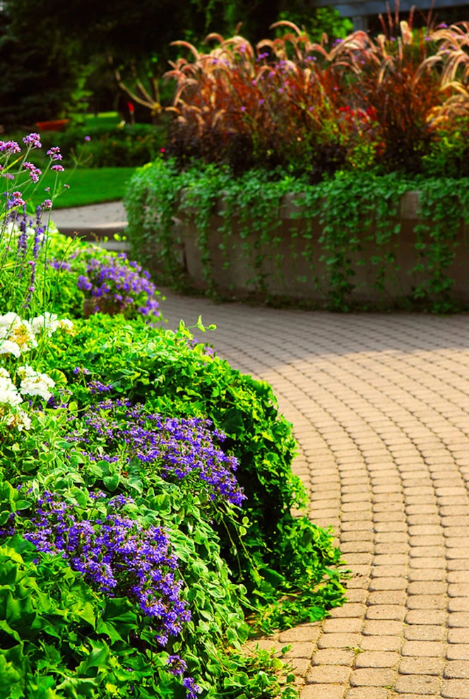 Proflora Landscapes - Photo 2