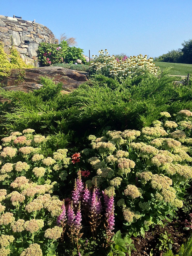Rebecca Hoffman Fine Gardening - Photo 3