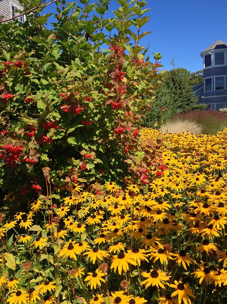 Rebecca Hoffman Fine Gardening - Photo 4