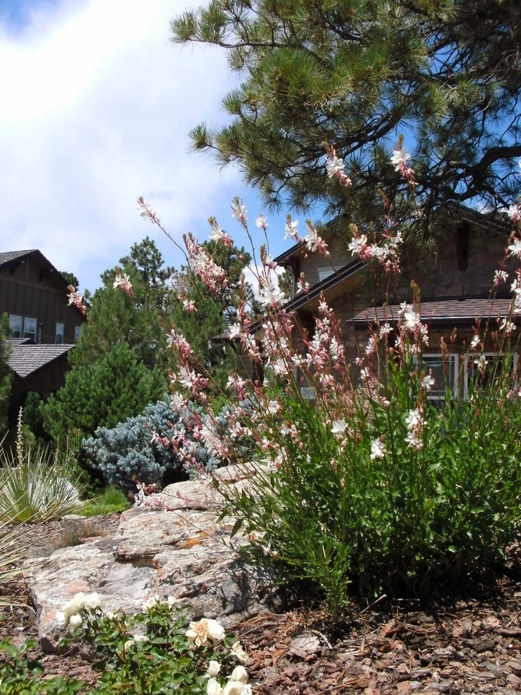 Tallyn's Reach by Reber Landscape Architecture - Photo 3
