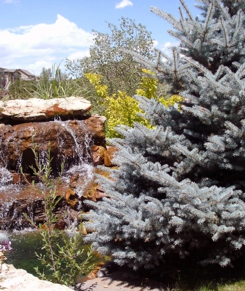 Tallyn's Reach by Reber Landscape Architecture - Photo 4