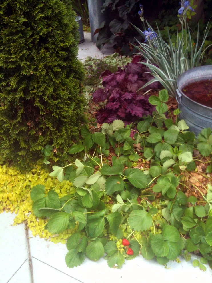 Reber Landscape Architecture - Photo 8