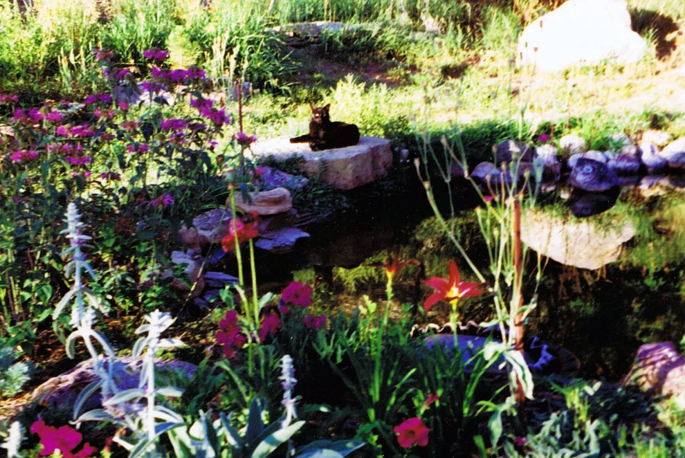 Mick Reber Studio Sculpture Garden by Reber Landscape Architecture - Photo 8
