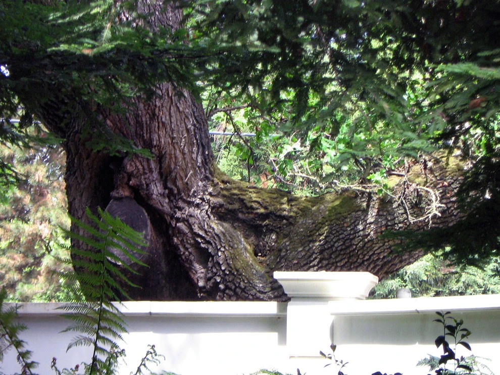 Athterton Oaks by Reber Landscape Architecture - Photo 2
