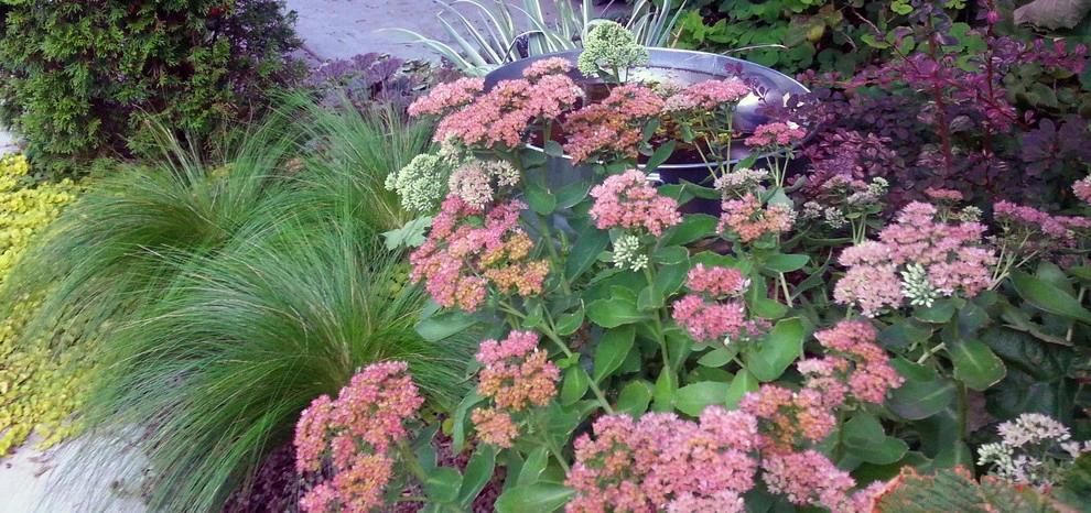 Planting Combinations by Reber Landscape Architecture - Photo 15
