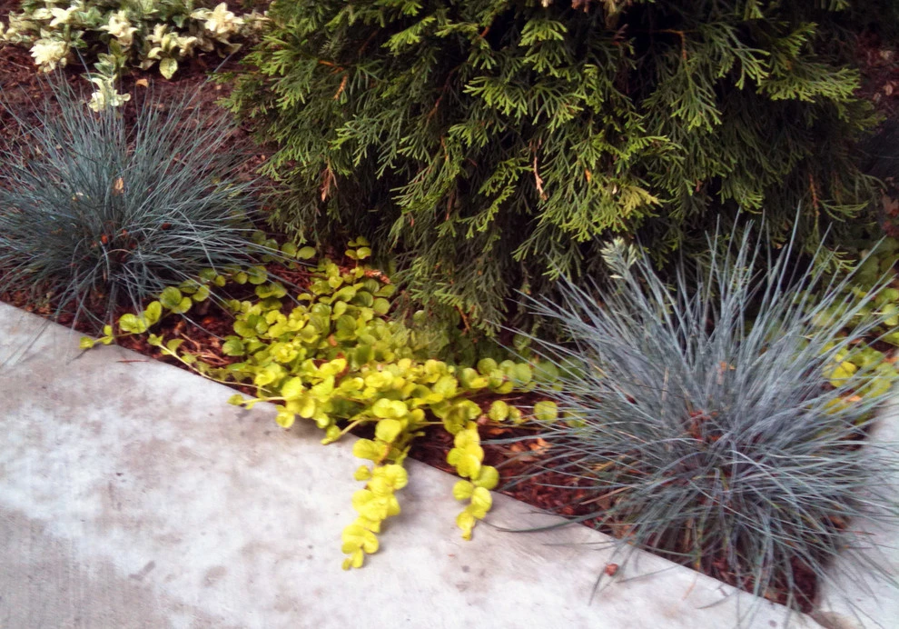 Reber Landscape Architecture - Photo 14