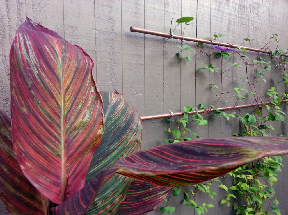 Planting Combinations by Reber Landscape Architecture - Photo 5