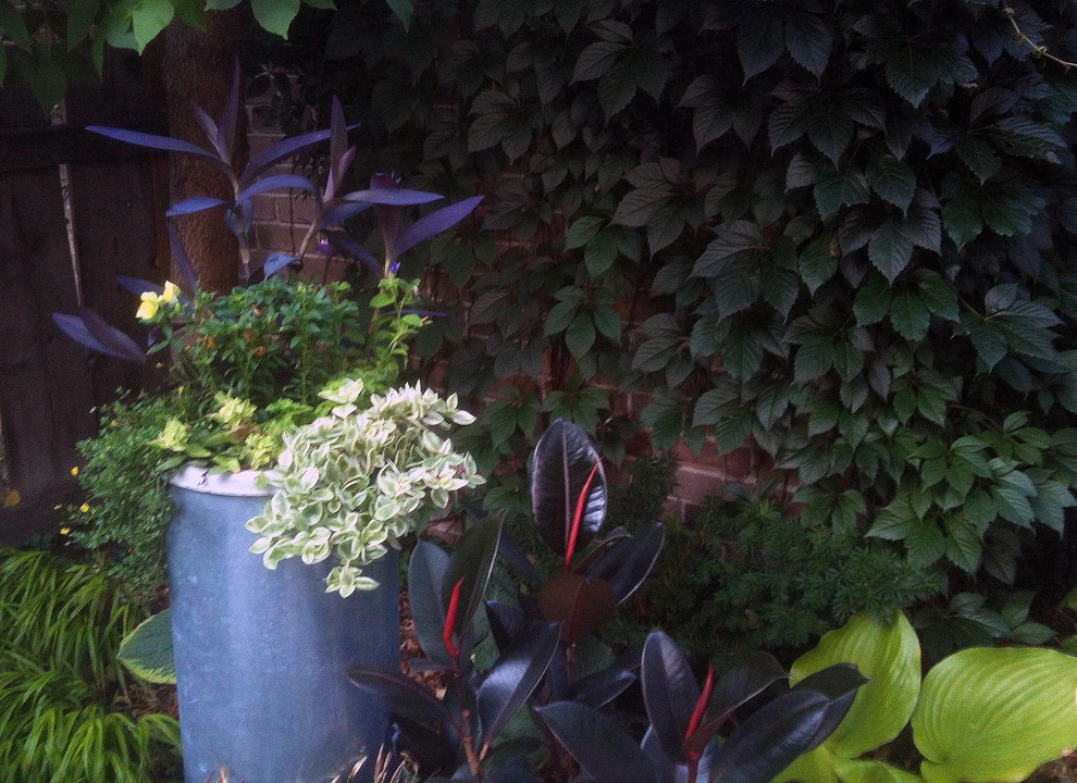 Planting Combinations by Reber Landscape Architecture - Photo 10