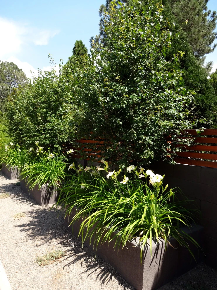 Mid Century Modern by Red Twig Studio - Photo 2