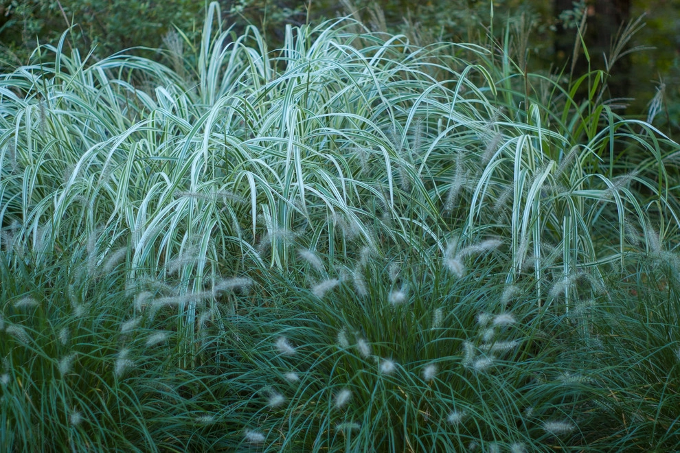 Contemporary Landscape by A Blade Of Grass - Photo 60