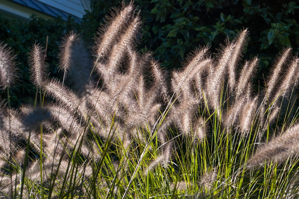 Contemporary Landscape by A Blade Of Grass - Photo 9