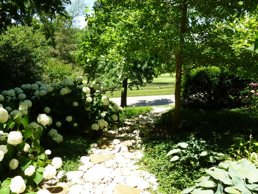 Krumlauff-Weidemann Woodland Garden by Richard Clayton Barrett - Photo 4