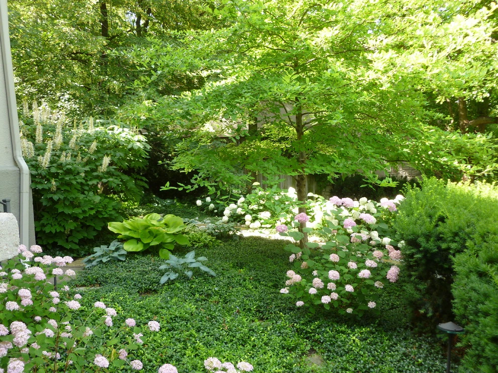 Krumlauff-Weidemann Woodland Garden by Richard Clayton Barrett - Photo 5