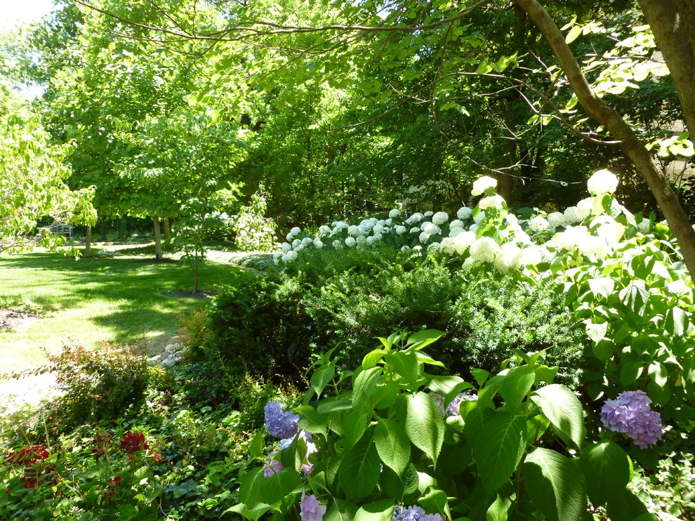 Krumlauff-Weidemann Woodland Garden by Richard Clayton Barrett - Photo 3