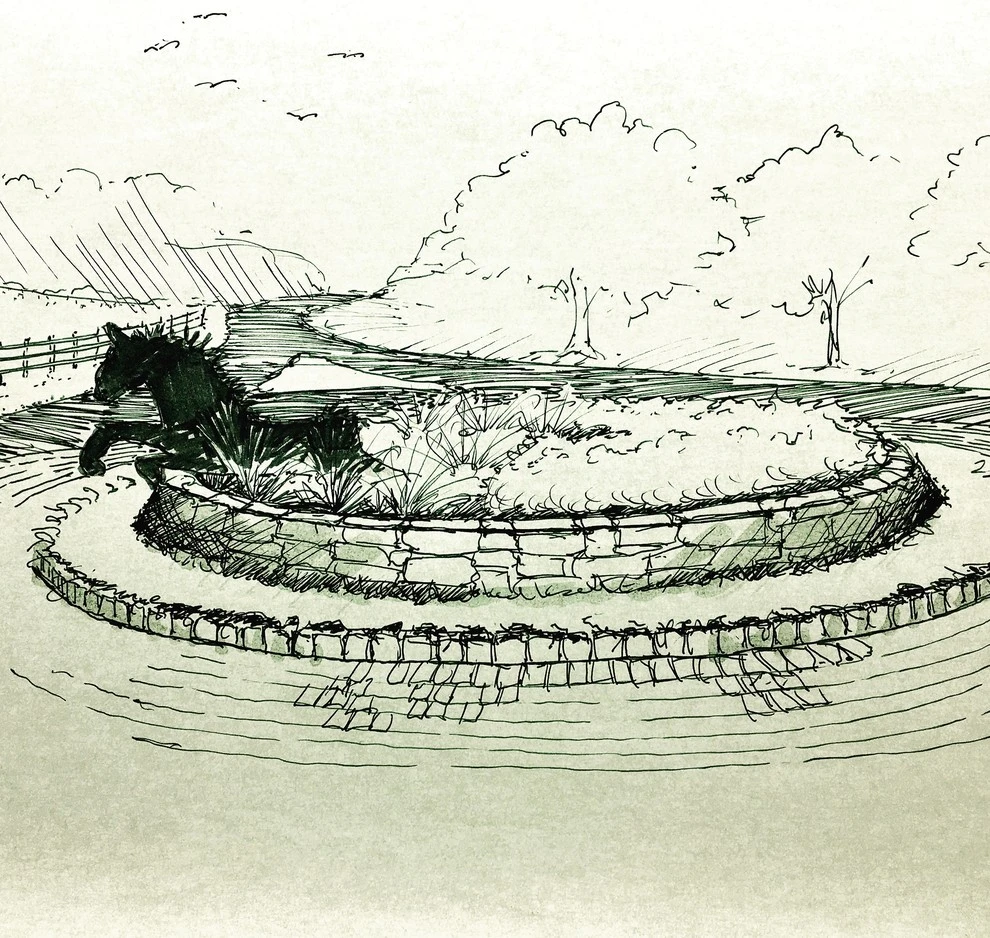 Sketches and Drawings by Richard M Sweeney Landscape Architect - Photo 4