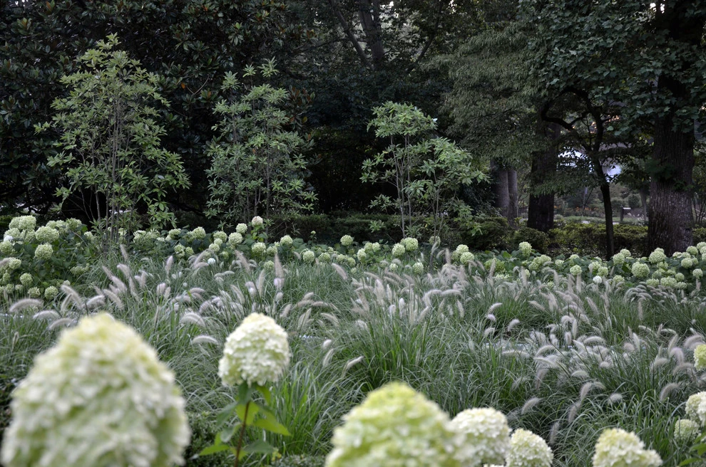 project 3 by Richard M Sweeney Landscape Architect - Photo 2